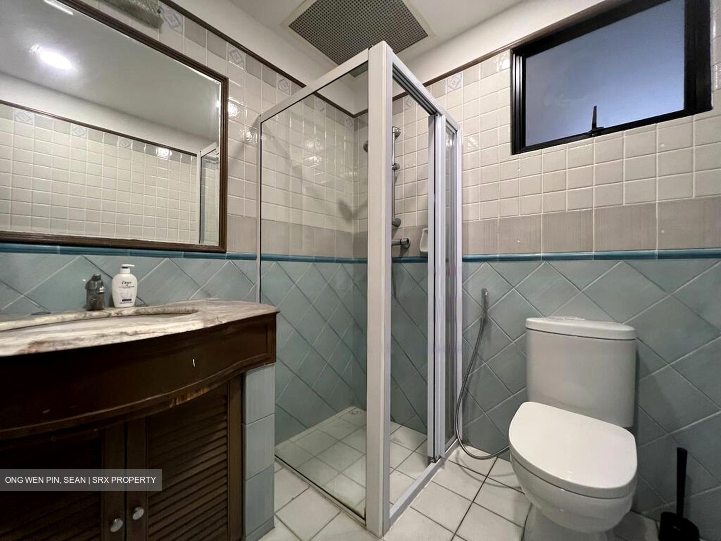 Dover Parkview (D5), Condominium #452997431